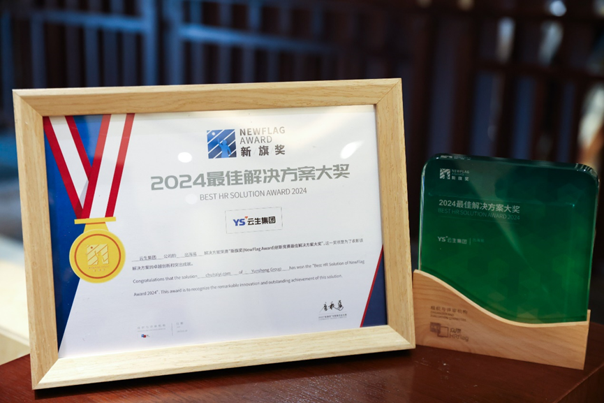ag尊龙链接集团出海易Chuhaiyi荣获 “新旗奖”2024最佳解决方案大奖